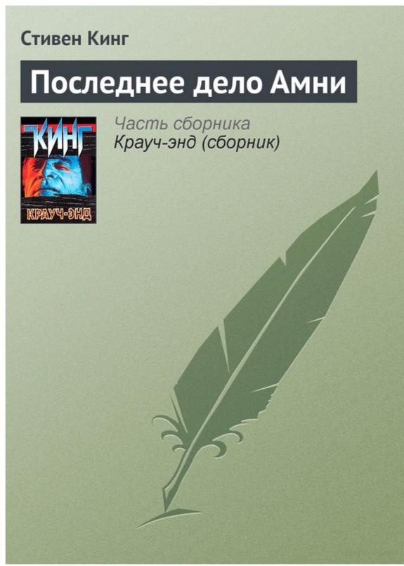 Последнее дело Амни