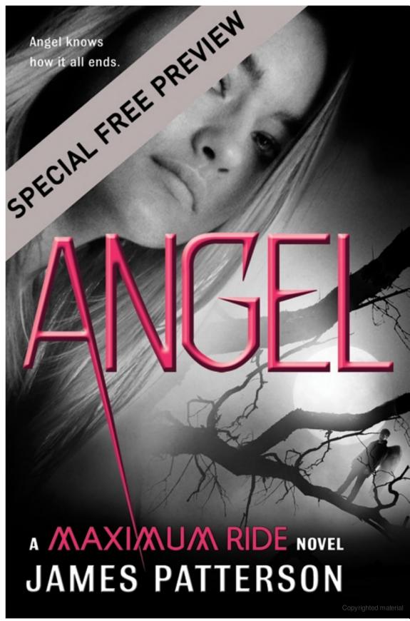 Angel - Free Preview: First 23 Chapters