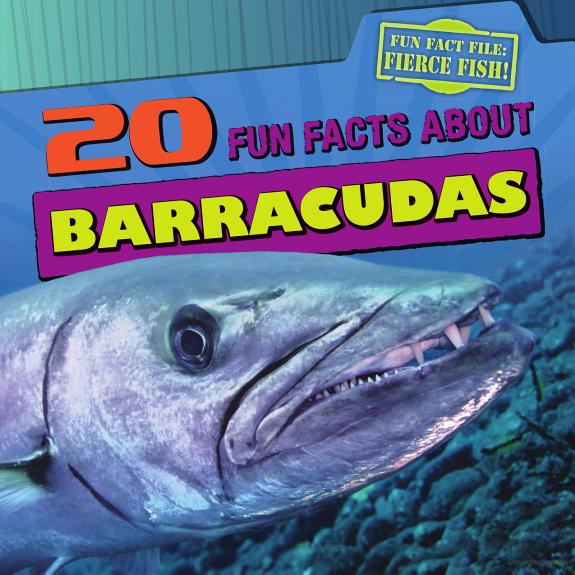 20 Fun Facts about Barracudas