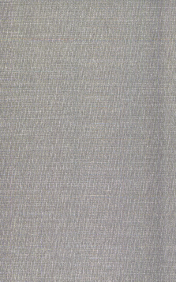 American Paper Son