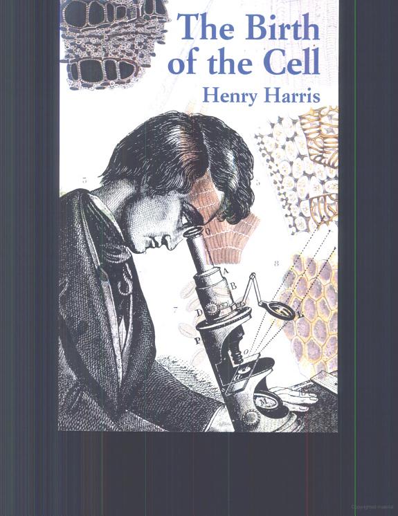 The Birth of the Cell