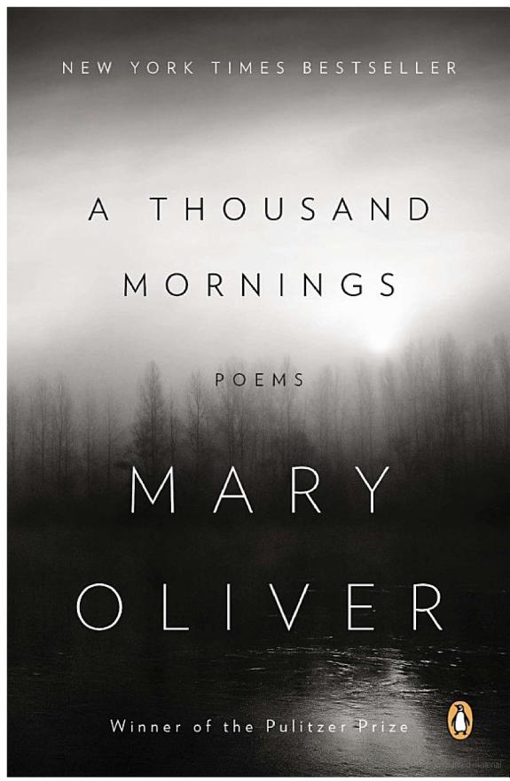 A Thousand Mornings
