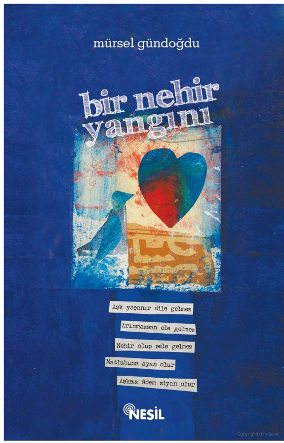 Bir Nehir Yangını