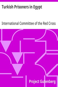Turkish Prisoners in Egypt
A Report by the Delegates of the International Committee of the Red Cross