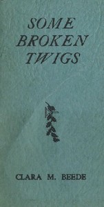 Some Broken Twigs