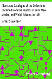 Illustrated Catalogue of the Collections Obtained from the Pueblos of Zuñi, New Mexico, and Wolpi, Arizona, in 1881
Third Annual Report of the Bureau of Ethnology to the Secretary of the Smithsonian Institution, 1881-82, Government Printing Office, Washi