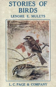 Stories of Birds