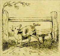 The Remarkable Adventures of an Old Woman and Her Pig
An Ancient Tale in a Modern Dress