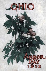 Ohio Arbor Day 1913: Arbor and Bird Day Manual
Issued for the Benefit of the Schools of our State