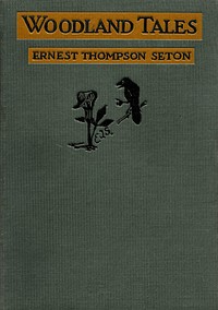 Woodland Tales