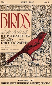 Birds, Illustrated by Color Photography, Vol. 1, No. 4
April, 1897