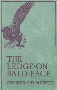 The Ledge on Bald Face