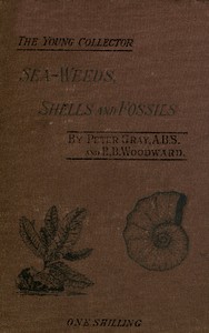 Sea-Weeds, Shells and Fossils