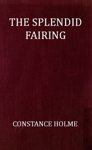 The Splendid Fairing