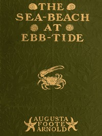 The Sea-beach at Ebb-tide
A Guide to the Study of the Seaweeds and the Lower Animal Life Found Between Tide-marks