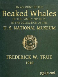 The Beaked Whales of the Family Ziphiidae
An Account of the Beaked Whales of the Family Ziphiidae in the Collection of the United States Museum...