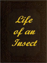 The Life of an Insect
being a history of the changes of insects from the egg to the perfect being.