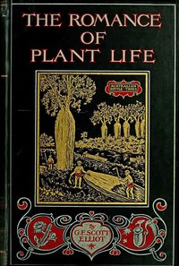 The Romance of Plant Life
Interesting Descriptions of the Strange and Curious in the Plant World