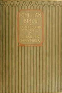 Egyptian Birds
For the most part seen in the Nile Valley
