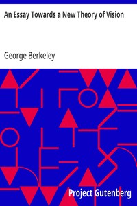 An Essay Towards a New Theory of Vision