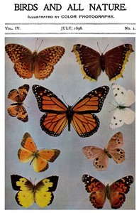 Birds and All Nature, Vol. 4, No. 1, July 1898
Illustrated by Color Photography