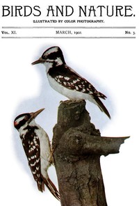 Birds and Nature Vol. 11 No. 3 [March 1902]
Illustrated by Color Photography
