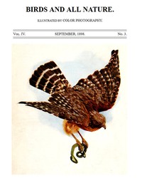 Birds and All Nature, Vol. 4, No. 3, September 1898
Illustrated by Color Photography