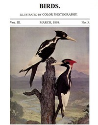 Birds and All Nature, Vol. 3, No. 3, March 1898
Illustrated by Color Photography