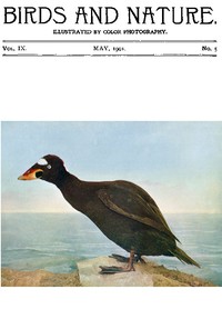 Birds and Nature Vol. 09 No. 5 [May 1901]
Illustrated by Color Photography