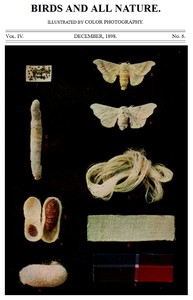 Birds and All Nature, Vol. 4, No. 6, December 1898
Illustrated by Color Photography