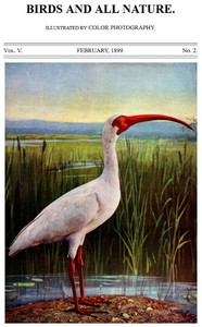 Birds and All Nature, Vol. 5, No. 2, February 1899
Illustrated by Color Photography