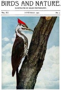 Birds and Nature, Vol. 12 No. 4 [September 1902]
Illustrated by Color Photography