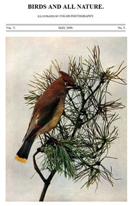 Birds and All Nature, Vol. 5, No. 5, May 1899
Illustrated by Color Photography