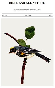 Birds and All Nature, Vol. 6, No. 1, June 1899
Illustrated by Color Photography