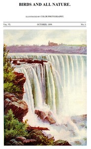 Birds and All Nature, Vol. 6, No. 3, October 1899
Illustrated by Color Photography