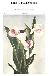 Birds and All Nature, Vol. 6, No. 4, November 1899
In Natural Colors