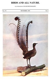 Birds and All Nature, Vol. 6, No. 5, December 1899
Illustrated by Color Photography
