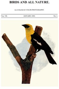 Birds and All Nature, Vol. 7, No. 1, January 1900
Illustrated by Color Photography