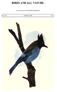 Birds and All Nature, Vol 7, No. 3, March 1900
Illustrated by Color Photography