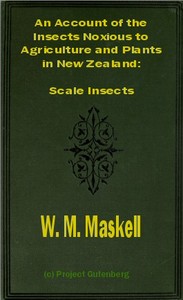 An Account of the Insects Noxious to Agriculture and Plants in New Zealand
The Scale Insects (Coccididae)