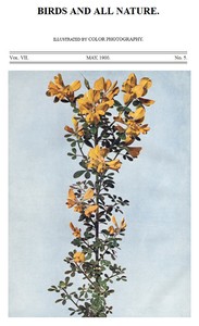 Birds and All Nature, Vol. 7, No. 5, May 1900
Illustrated by Color Photography