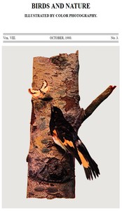 Birds and Nature Vol. 08, No. 3, October 1900
Illustrated by Color Photography