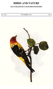 Birds and Nature, Vol. 08, No. 4, November 1900
Illustrated by Color Photography