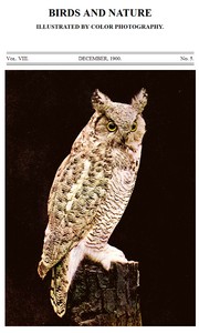 Birds and Nature, Vol. 08, No. 5, December 1900
Illustrated by Color Photography
