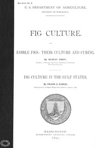 Fig Culture
Edible Figs: Their Culture and Curing. Fig Culture in the Gulf States.