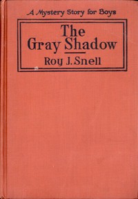The Gray Shadow
A Mystery Story For Boys