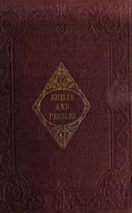 Shells and pebbles: A story for children