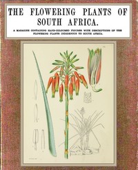 The flowering plants of South Africa; vol. 4