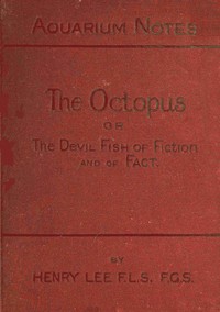 The octopus