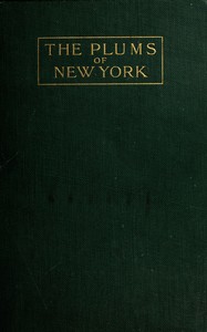 The plums of New York
